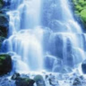 Meet your Posher, Lacey